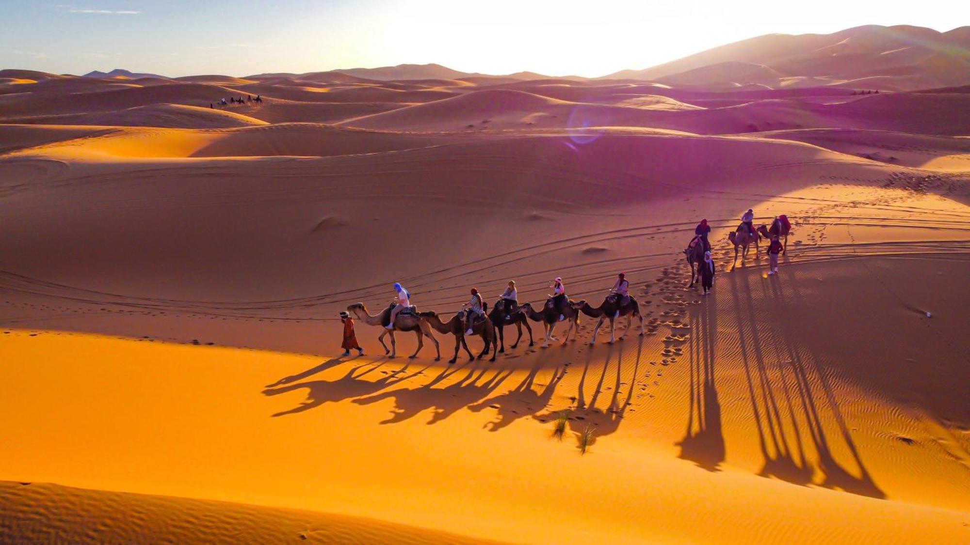 Palmas Camp Merzouga Extérieur photo