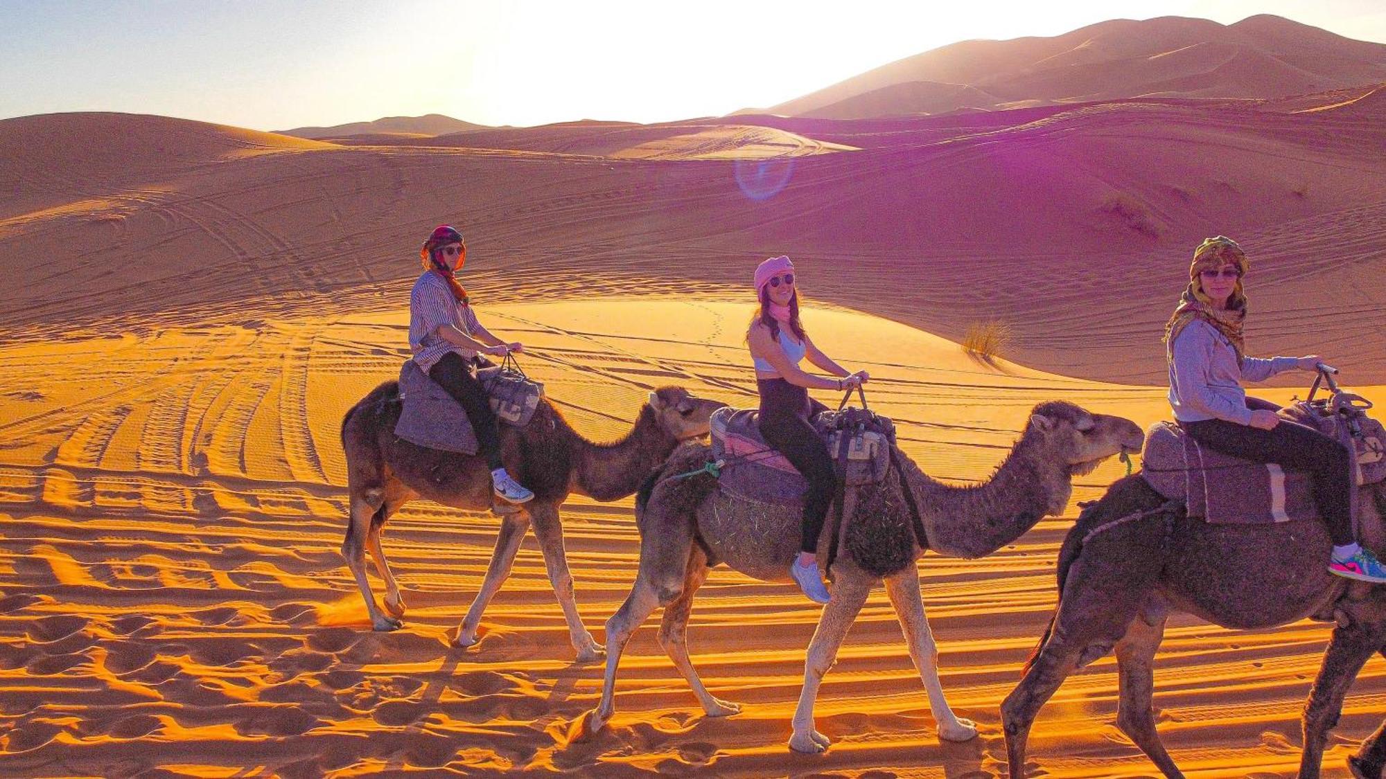 Palmas Camp Merzouga Extérieur photo